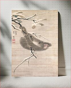 Πίνακας, Japanese monkey on branch (1770) vintage ink and color on silk by Maruyama Ōkyo