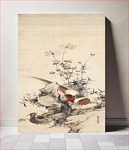 Πίνακας, Japanese pheasant and flower (1783 - 1856) vintage painting by Yamamoto Baiitsu