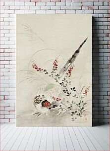 Πίνακας, Japanese pheasant and grass (1615-1868) vintage painting by Ogata Korin