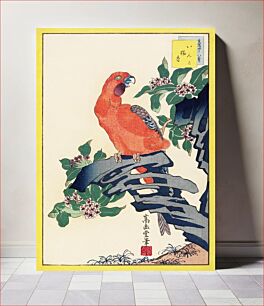 Πίνακας, Japanese pink parrot (1859) vintage woodblock print by Nakayama Sūgakudō