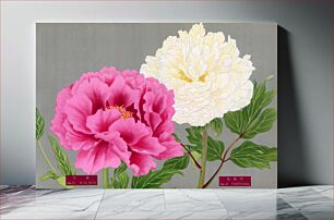 Πίνακας, Japanese pink & white peony flowers, vintage floral print from The Picture Book of Peonies by the Niigata Prefecture, Japan