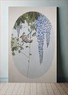 Πίνακας, Japanese Robin in Wisteria by Watanabe Seitei (Watanabe Shotei), Tokyo National Museum