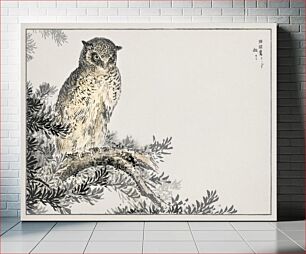 Πίνακας, Japanese Scops Owl and Fir illustration. Pictorial Monograph of Birds (1885) by Numata Kashu (1838-1901)