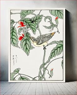 Πίνακας, Japanese Tree-creeper and Pea illustration. Pictorial Monograph of Birds (1885) by Numata Kashu (1838-1901)