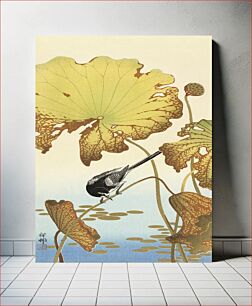 Πίνακας, Japanese wagtail on lotus plant (1925 - 1936) by Ohara Koson (1877-1945)