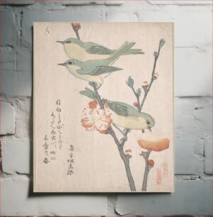 Πίνακας, Japanese White-eyes on a Branch of Peach Tree,” from the Series An Array of Birds (Tori awase), from Spring Rain Surimono Album (Harusame surimono-jō, vol. 3) by Kubo Shunman