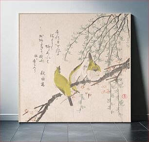 Πίνακας, Japanese White-eyes with Plum Tree and Willow, from Spring Rain Surimono Album (Harusame surimono-jō, vol. 3) by Kubo Shunman