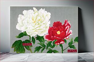 Πίνακας, Japanese white & red peony flowers, vintage floral print from The Picture Book of Peonies by the Niigata Prefecture, Japan