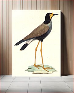 Πίνακας, Javanese Lapwing bird