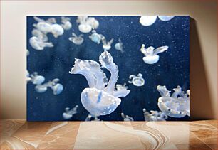 Πίνακας, Jellyfish drifting underwater Μέδουσες που παρασύρονται υποβρύχια