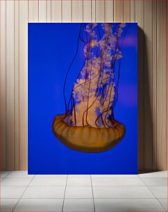 Πίνακας, Jellyfish in Blue Background Μέδουσες σε μπλε φόντο