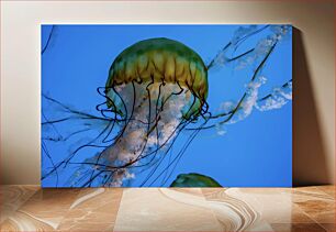 Πίνακας, Jellyfish in Blue Ocean Μέδουσες στον Γαλάζιο Ωκεανό