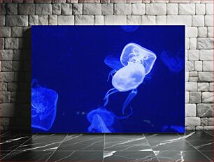 Πίνακας, Jellyfish in Deep Blue Sea Μέδουσες στη Βαθύ Γαλάζια Θάλασσα