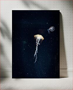 Πίνακας, Jellyfish in Ocean Depths Μέδουσες στα βάθη των ωκεανών