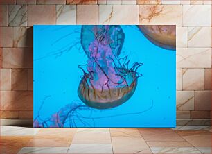 Πίνακας, Jellyfish in Ocean Μέδουσες στον Ωκεανό