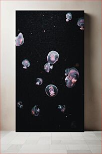 Πίνακας, Jellyfish in the Dark Μέδουσες στο σκοτάδι