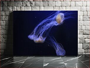 Πίνακας, Jellyfish in the Deep Blue Sea Μέδουσες στη Βαθύ Γαλάζια Θάλασσα