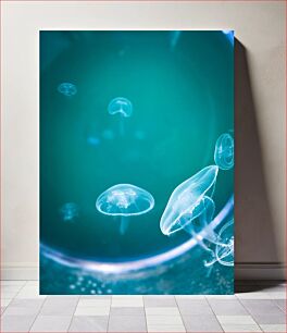Πίνακας, Jellyfish in the Deep Blue Sea Μέδουσες στη Βαθύ Γαλάζια Θάλασσα