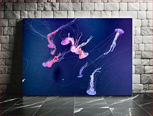 Πίνακας, Jellyfish in the Deep Sea Μέδουσες στη βαθιά θάλασσα