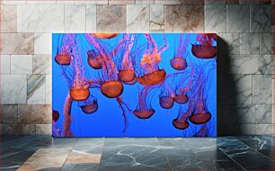 Πίνακας, Jellyfish in the Ocean Μέδουσες στον Ωκεανό