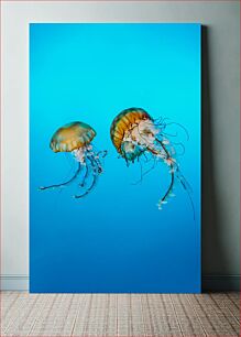 Πίνακας, Jellyfish in the Ocean Μέδουσες στον Ωκεανό