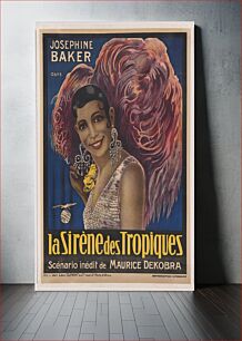 Πίνακας, Josephine Baker