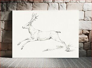 Πίνακας, Jumping deer by Jean Bernard (1775-1883)