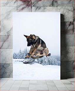 Πίνακας, Jumping Dog in the Snow Jumping Dog in the Snow