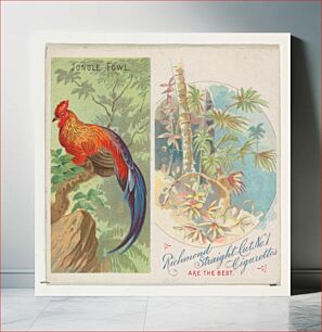 Πίνακας, Jungle Fowl, from Birds of the Tropics series (N38) for Allen & Ginter Cigarettes