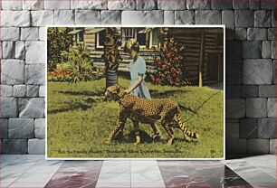 Πίνακας, "Kali the friendly cheetah," Thunderbird Indian Trading Post, Dania, Florida