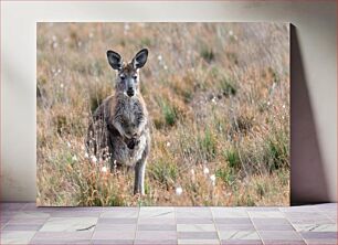 Πίνακας, Kangaroo in the Wild Καγκουρό στην άγρια ​​φύση