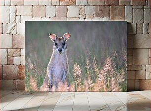 Πίνακας, Kangaroo in the Wild Καγκουρό στην άγρια ​​φύση