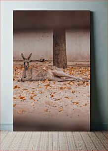 Πίνακας, Kangaroo Resting Under a Tree Καγκουρό που ξεκουράζεται κάτω από ένα δέντρο
