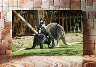 Πίνακας, Kangaroo with Joey Καγκουρό με τον Τζόι