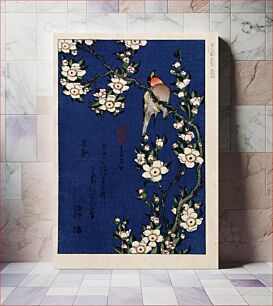 Πίνακας, Katsushika Hokusai (1760-1849), Robin on a branch of cherry blossom. Collection of Japanese prints of Centre Céramique, Maastricht, the Netherlands