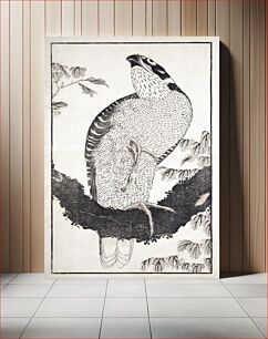Πίνακας, Katsushika Hokusai's bird, from Album of Sketches (1814) vintage Japanese woodblock prints