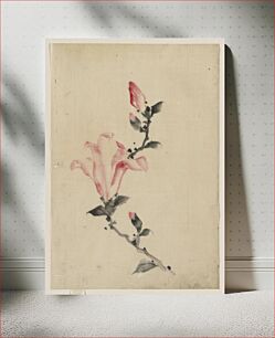 Πίνακας, Katsushika Hokusai's Large Pink Blossom on a Stem with Three Additional Buds