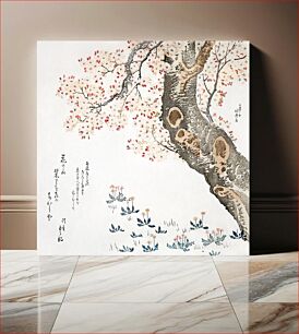 Πίνακας, Katsushika Hokusai’s cherry tree (1760–1849) vintage Japanese woodblock print