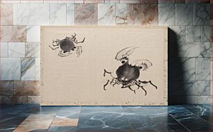 Πίνακας, Katsushika Hokusai’s Japanese crab, Album of Sketches (1760–1849) painting