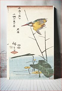 Πίνακας, Kingfisher and Reeds by Utagawa Hiroshige
