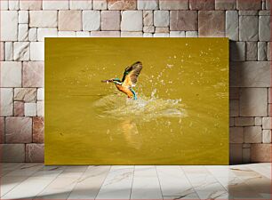 Πίνακας, Kingfisher Catching Fish Αλκυόνη που πιάνει ψάρια