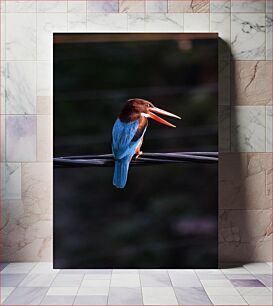Πίνακας, Kingfisher on a Wire Αλκυόνα σε σύρμα