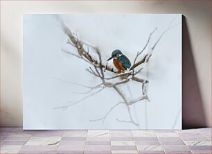 Πίνακας, Kingfisher on Snowy Branch Kingfisher στο Snowy Branch