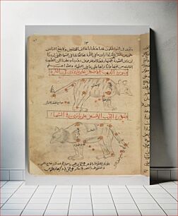 Πίνακας, Kitab suwar al-kawakib al-thabita (Book of the Images of the Fixed Stars) of al-Sufi