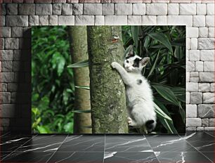 Πίνακας, Kitten Climbing a Tree Γατάκι που σκαρφαλώνει σε ένα δέντρο