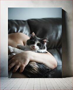 Πίνακας, Kitten in Arms Γατάκι στην αγκαλιά