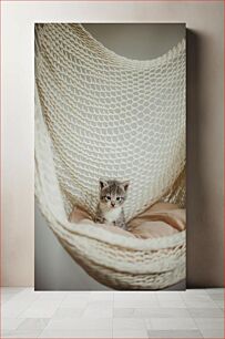 Πίνακας, Kitten in Hammock Γατάκι στην αιώρα