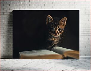 Πίνακας, Kitten Reading a Book Γατάκι που διαβάζει ένα βιβλίο