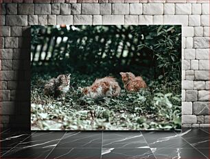 Πίνακας, Kittens in the Garden Γατάκια στον Κήπο