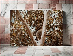 Πίνακας, Koala in Tree Κοάλα στο δέντρο